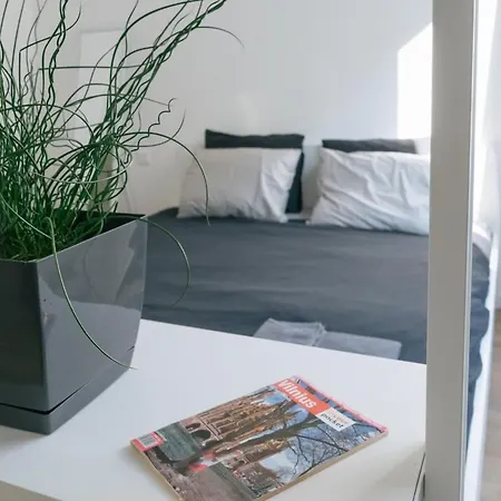 Central, Cozy And Modern!