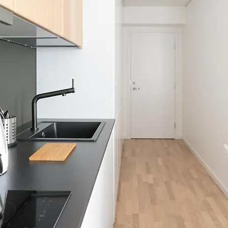Central, Cozy And Modern! Butas Vilnius